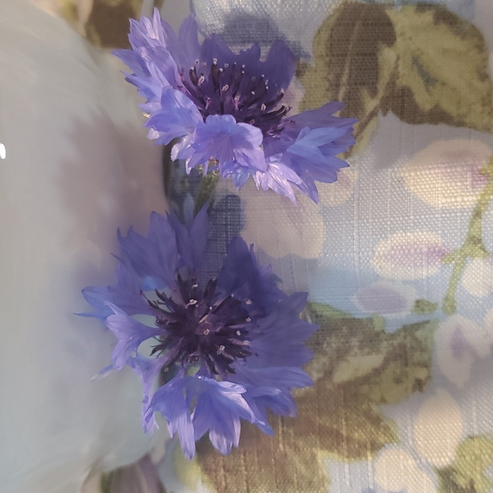 Porcelain Lid "Biscuit" Jar W/Lid Vintage Like New Cookie Jar - Picture 6 of 6